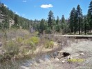 photo thumbnail #3