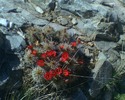 photo thumbnail #5