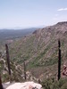 photo thumbnail #12