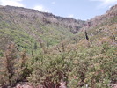 photo thumbnail #15
