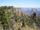 photo thumbnail #13