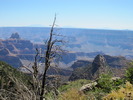 photo thumbnail #14