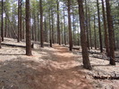 photo thumbnail #1