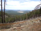 photo thumbnail #10
