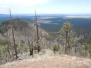 photo thumbnail #13