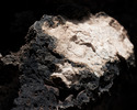 photo thumbnail #1