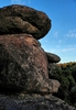 photo thumbnail #15