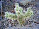 photo thumbnail #6