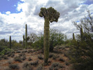 photo thumbnail #5