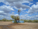 photo thumbnail #7