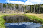 photo thumbnail #2