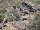 photo thumbnail #7