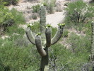photo thumbnail #8