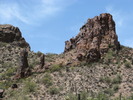 photo thumbnail #12