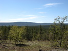 photo thumbnail #4