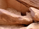 photo thumbnail #15