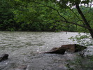 photo thumbnail #2