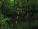 photo thumbnail #8
