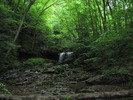 photo thumbnail #12