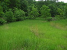 photo thumbnail #15