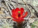 photo thumbnail #8