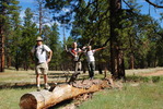 photo thumbnail #3