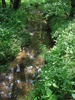 photo thumbnail #14