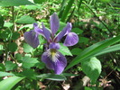 photo thumbnail #15