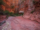photo thumbnail #15