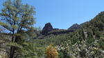 photo thumbnail #6