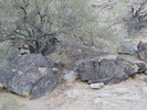 photo thumbnail #3