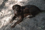 photo thumbnail #4