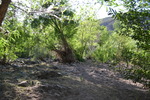 photo thumbnail #5