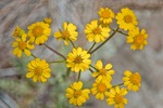 photo thumbnail #10
