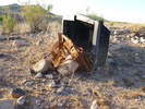 photo thumbnail #10