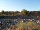 photo thumbnail #14