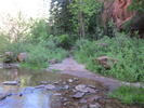 photo thumbnail #5