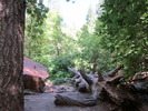 photo thumbnail #6