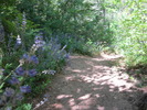 photo thumbnail #9
