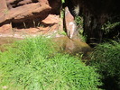 photo thumbnail #13