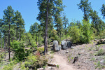 photo thumbnail #9