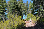photo thumbnail #12