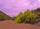 photo thumbnail #4