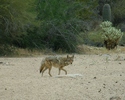 photo thumbnail #5
