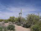photo thumbnail #9