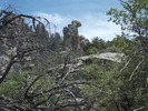 photo thumbnail #7