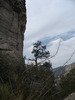 photo thumbnail #11