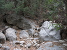 photo thumbnail #14