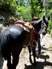 photo thumbnail #14