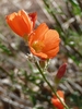 photo thumbnail #15